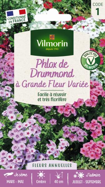 Fleurs - Phlox de Drummond à Grande Fleur Varié - PACKAGING_RECTO